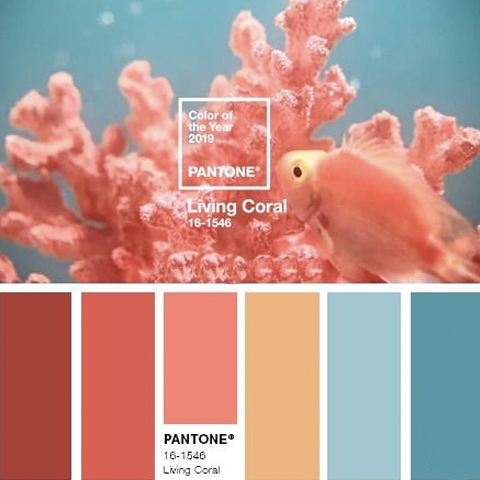 Colorindo com Pantone