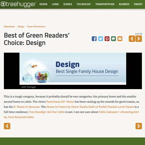 Best of Green – Tree hugger